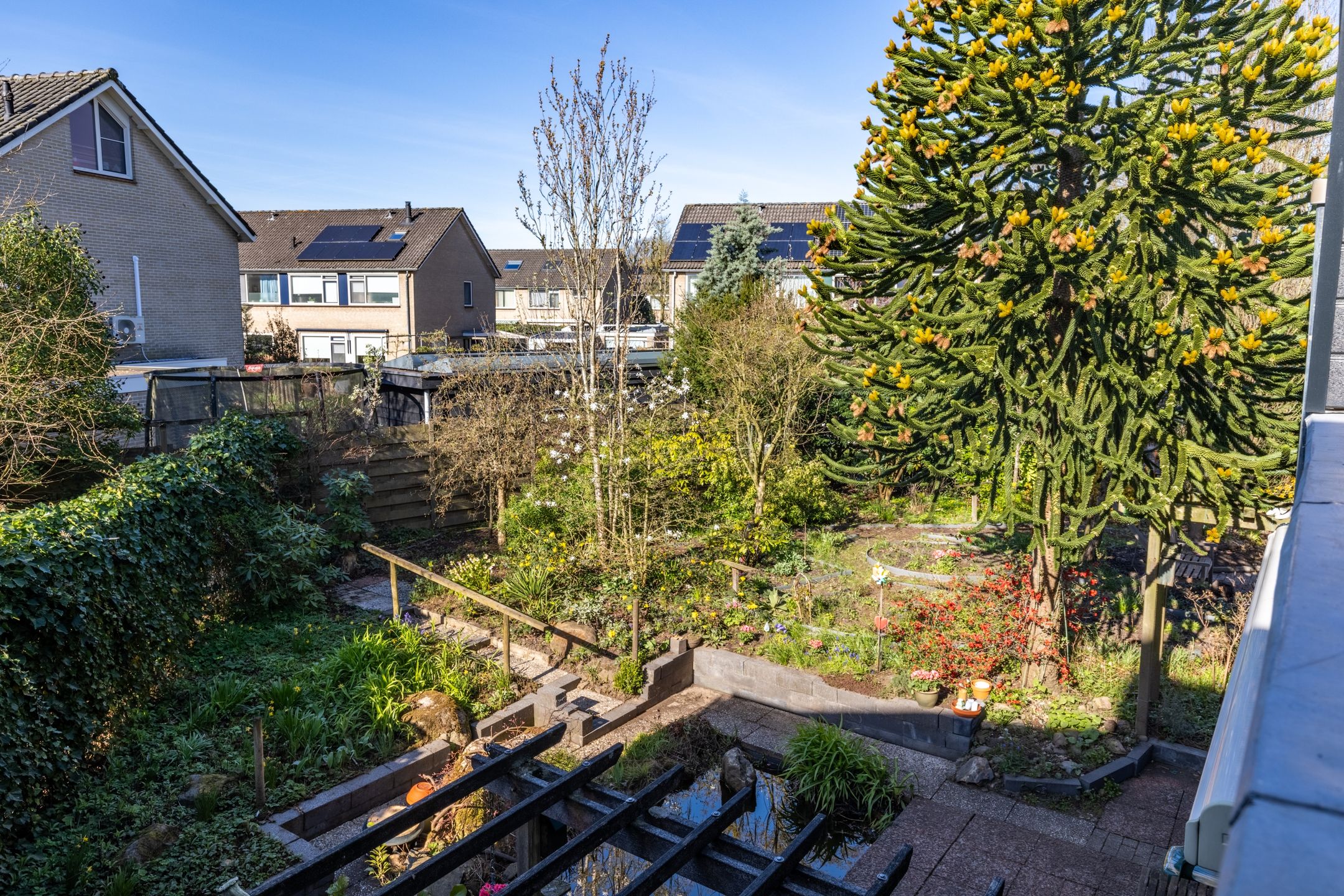 Foto 39 van Looikolkstraat 4