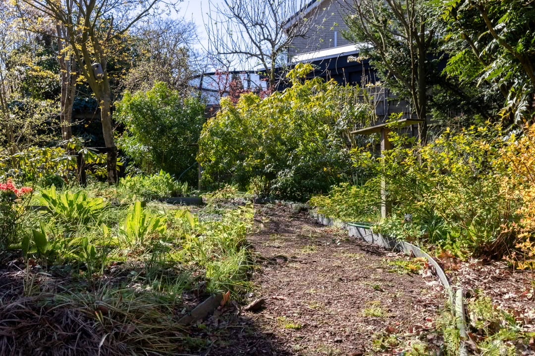 Foto 37 van Looikolkstraat 4