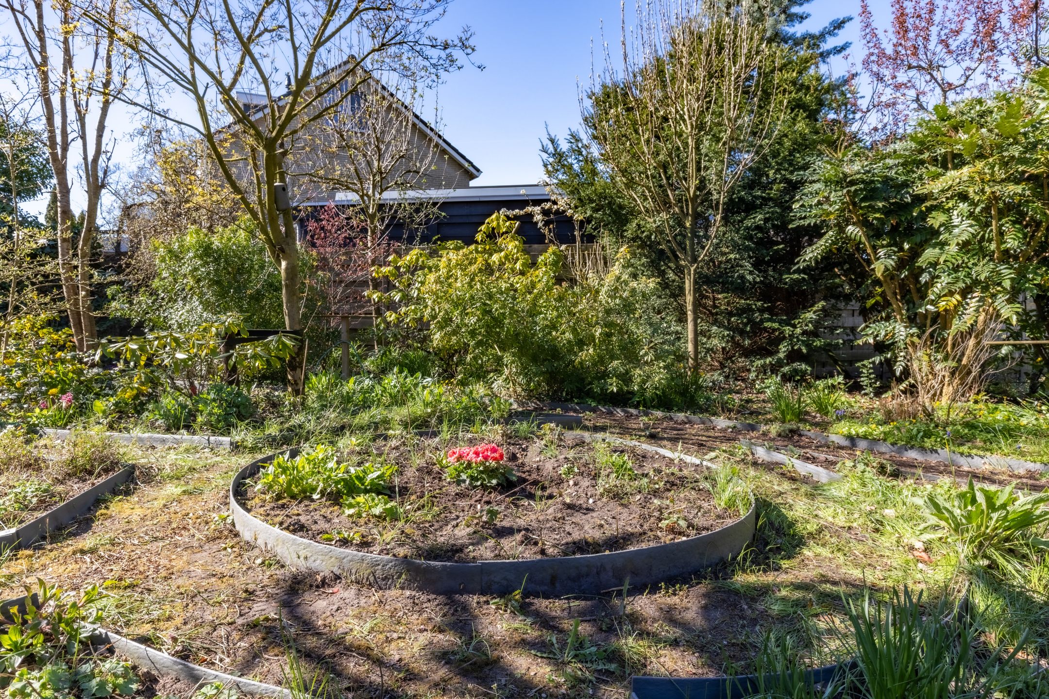 Foto 36 van Looikolkstraat 4