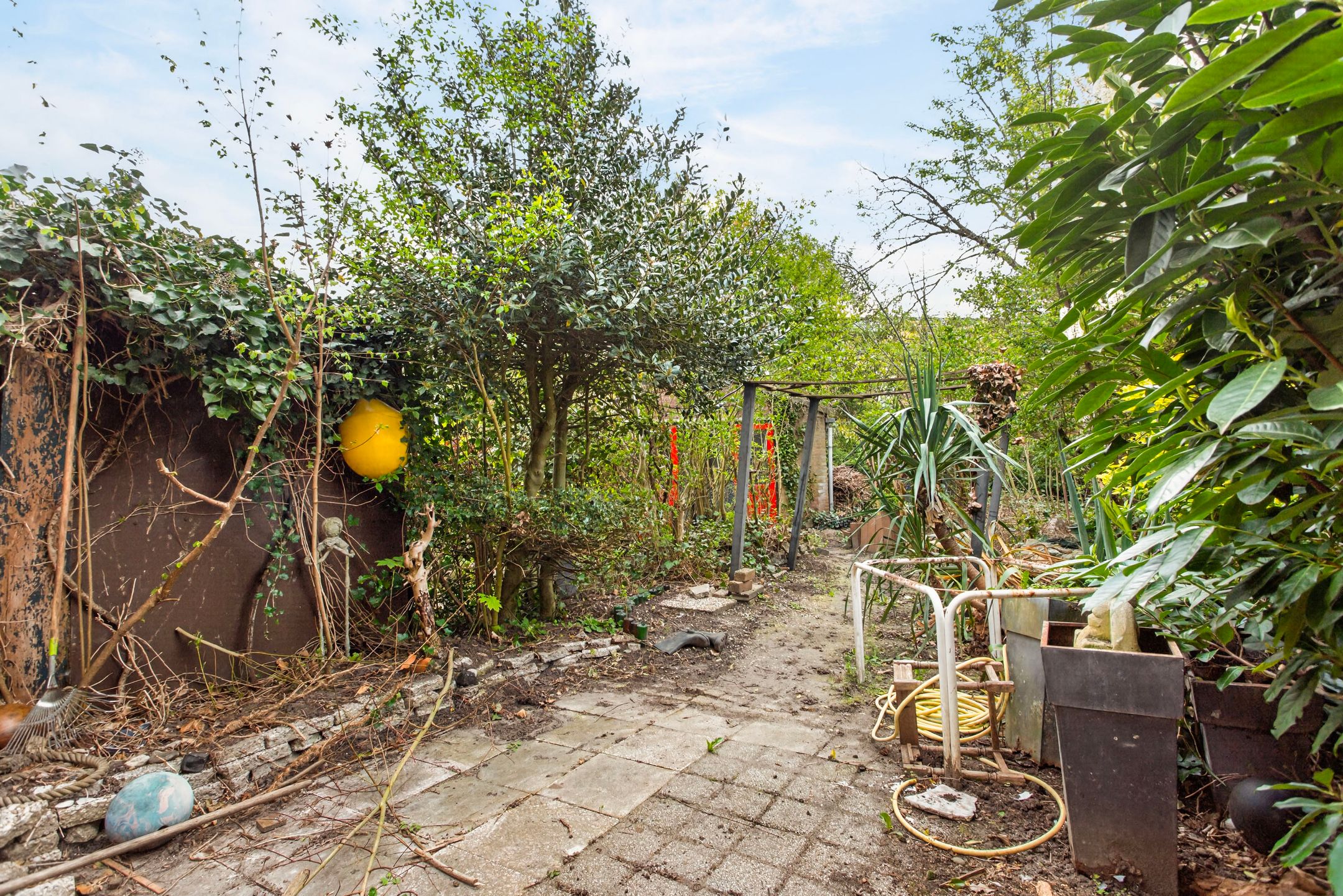 Foto 6 van Hebriden 40