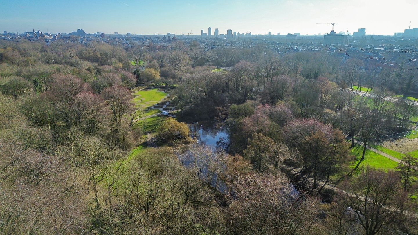 Foto 25 van Reyer Anslostraat 30