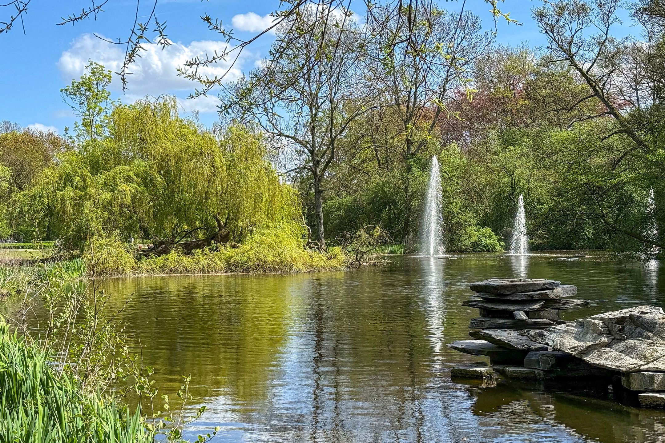 Foto 18 van Reyer Anslostraat 30