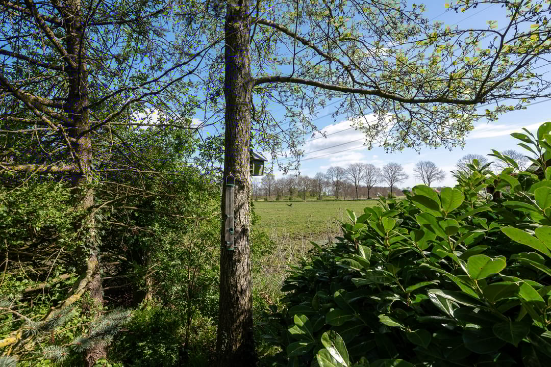 Foto 32 van Oosterstraat 9