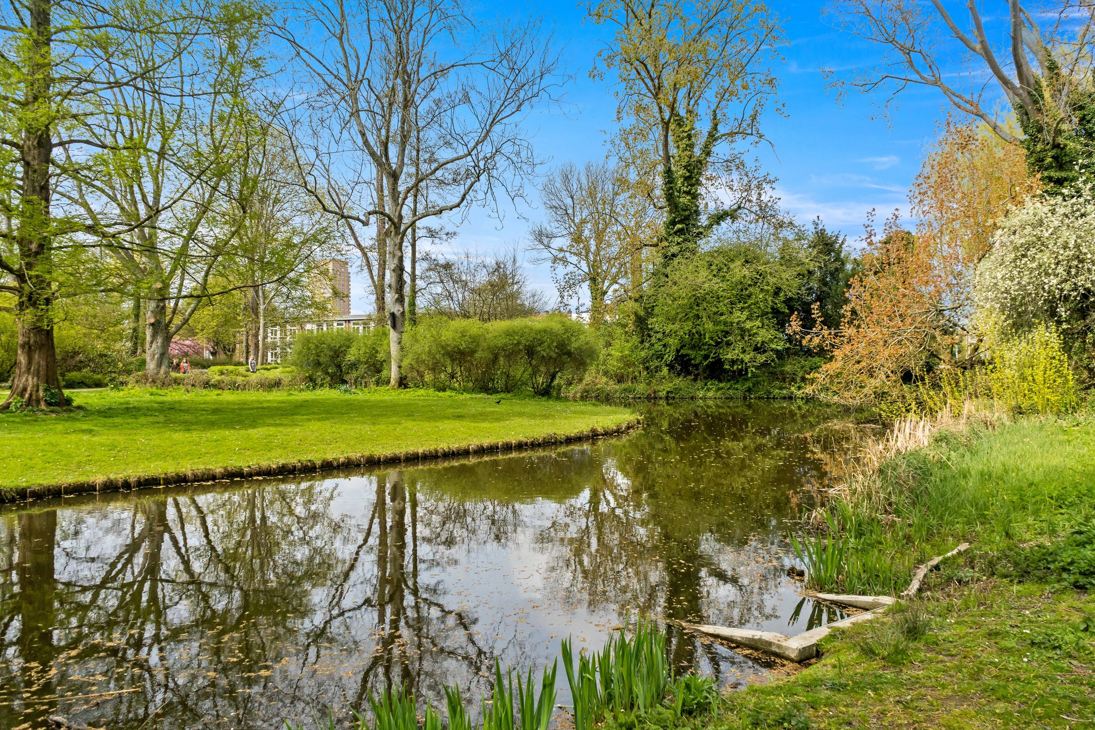 Foto 36 van Paulus Buijsstraat 49