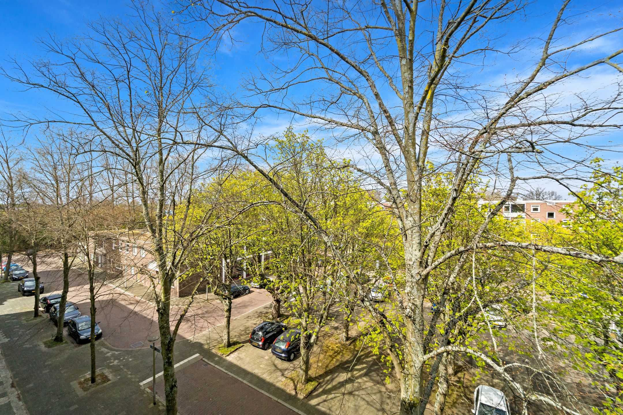 Foto 24 van Paulus Buijsstraat 49