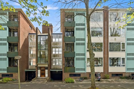 Paulus Buijsstraat thumbnail