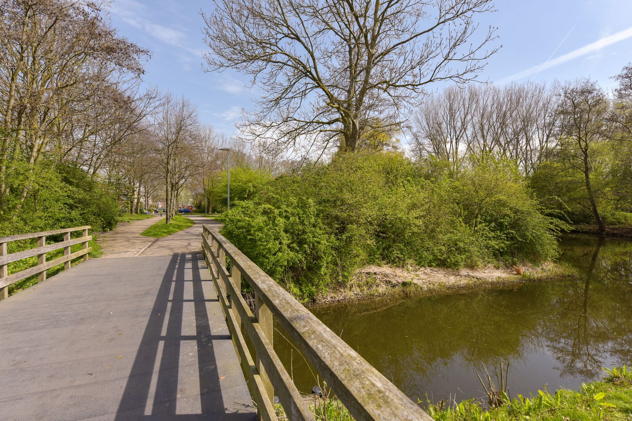 Foto 36 van Klaverwoud 12