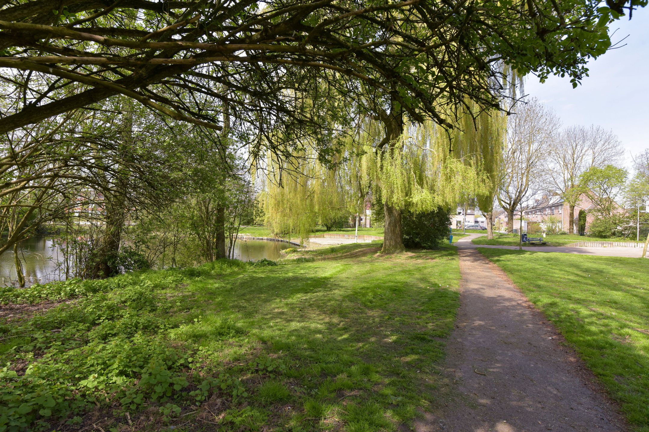 Foto 33 van Klaverwoud 12