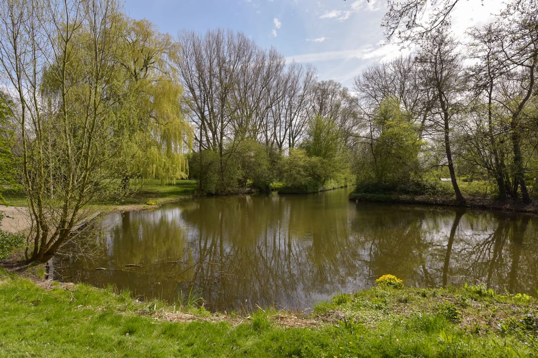 Foto 37 van Klaverwoud 12