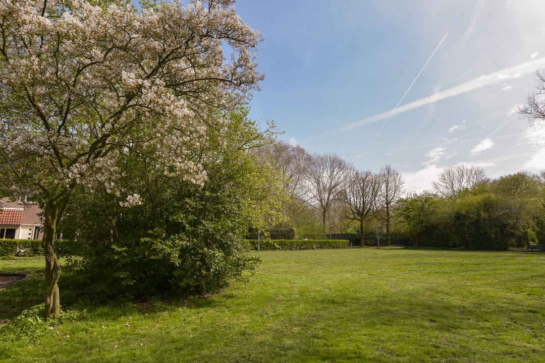 Foto 31 van Klaverwoud 12