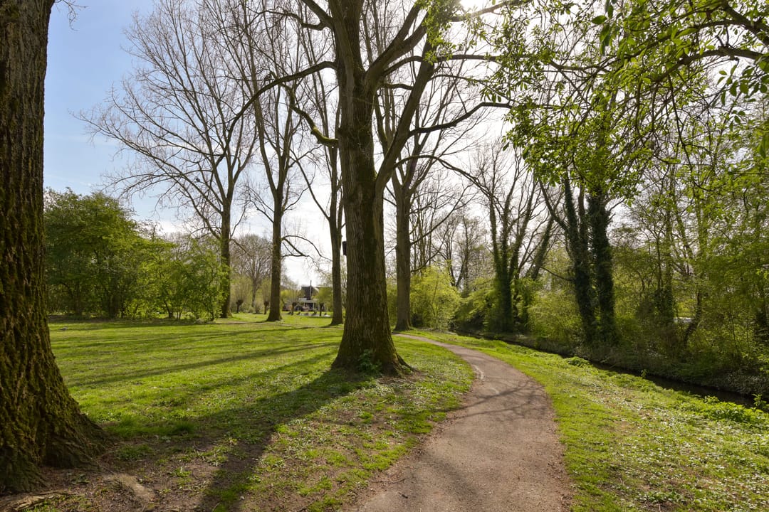 Foto 32 van Klaverwoud 12