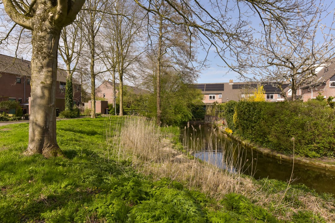 Foto 28 van Klaverwoud 12