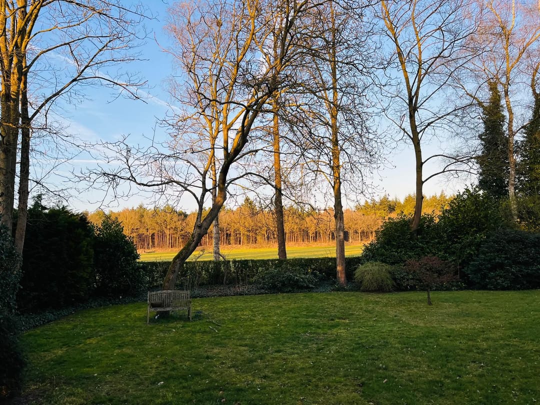 Photo 53 of Sporkehout 38