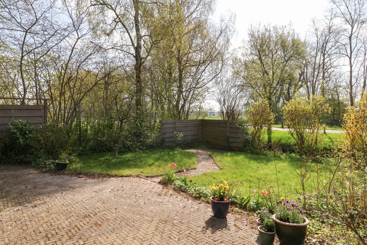 Photo 64 of Oer de feart 28