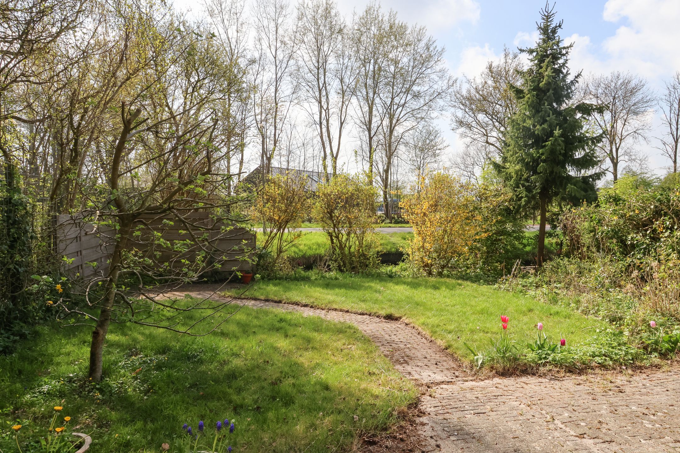 Photo 63 of Oer de feart 28