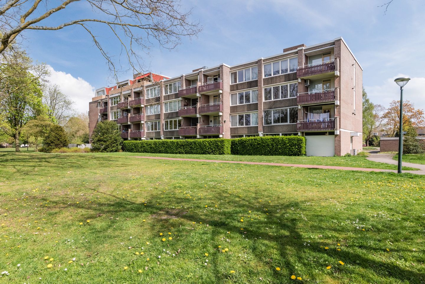 Photo 29 of Schepenenstraat 53