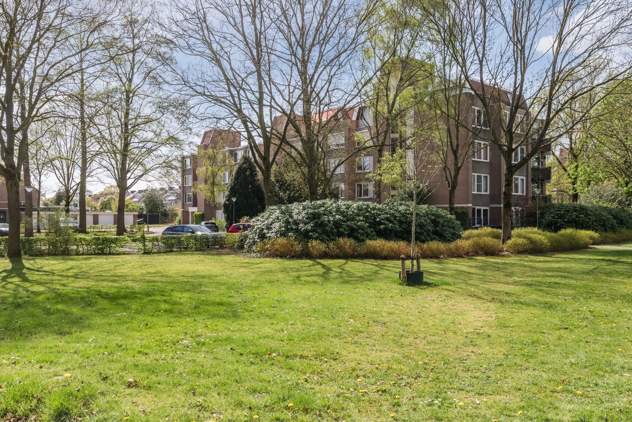 Photo 30 of Schepenenstraat 53