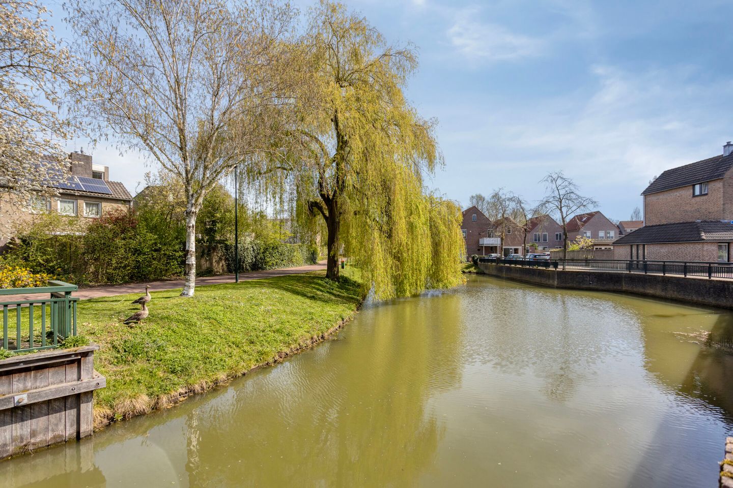 Photo 20 of Nettenknoper 19