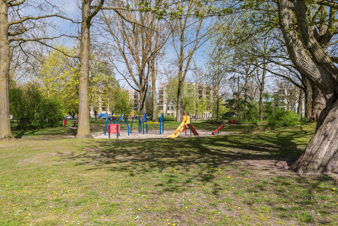 Photo 31 of Schepenenstraat 53