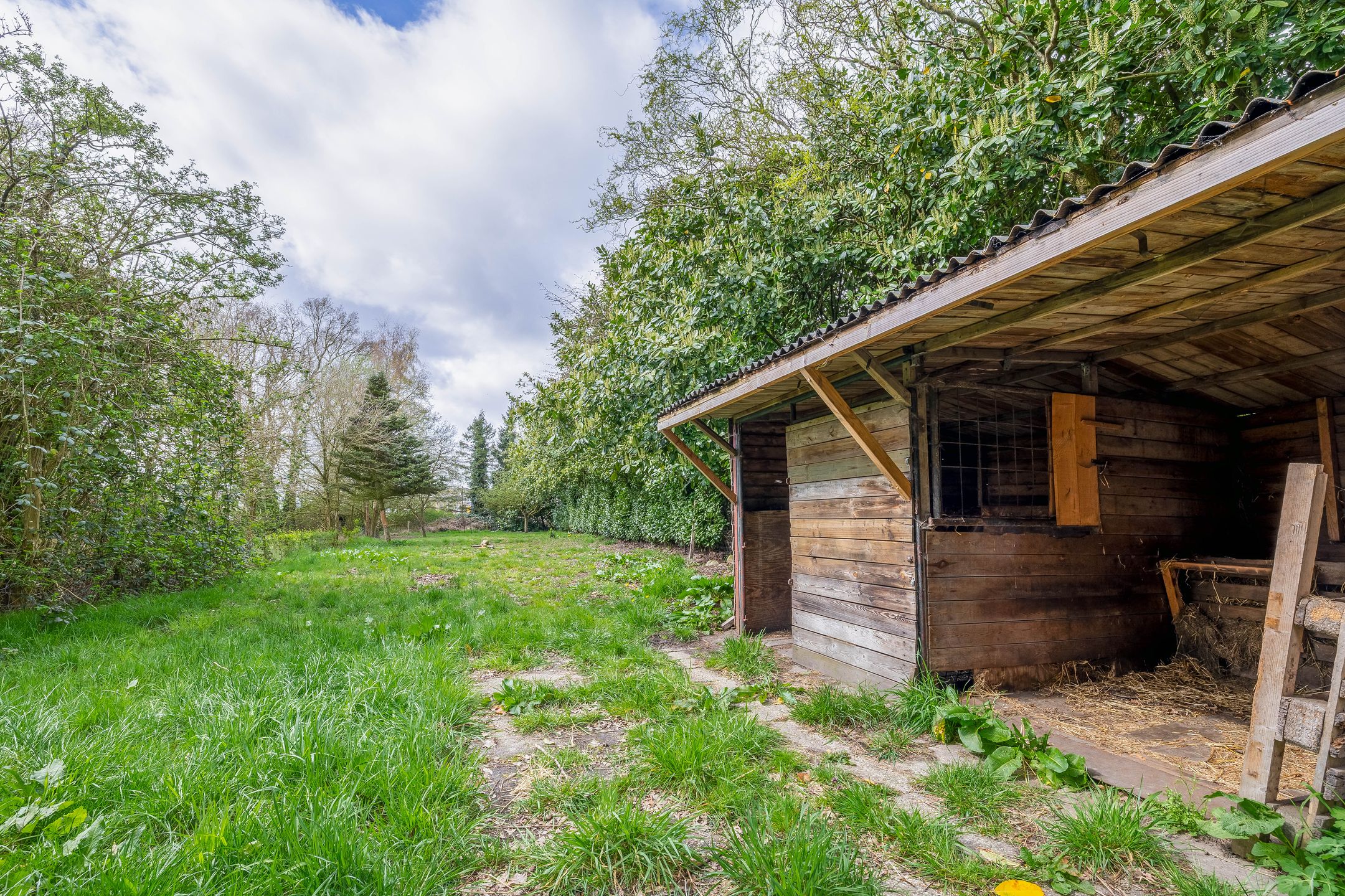 Foto 42 van Oosterstraat 12