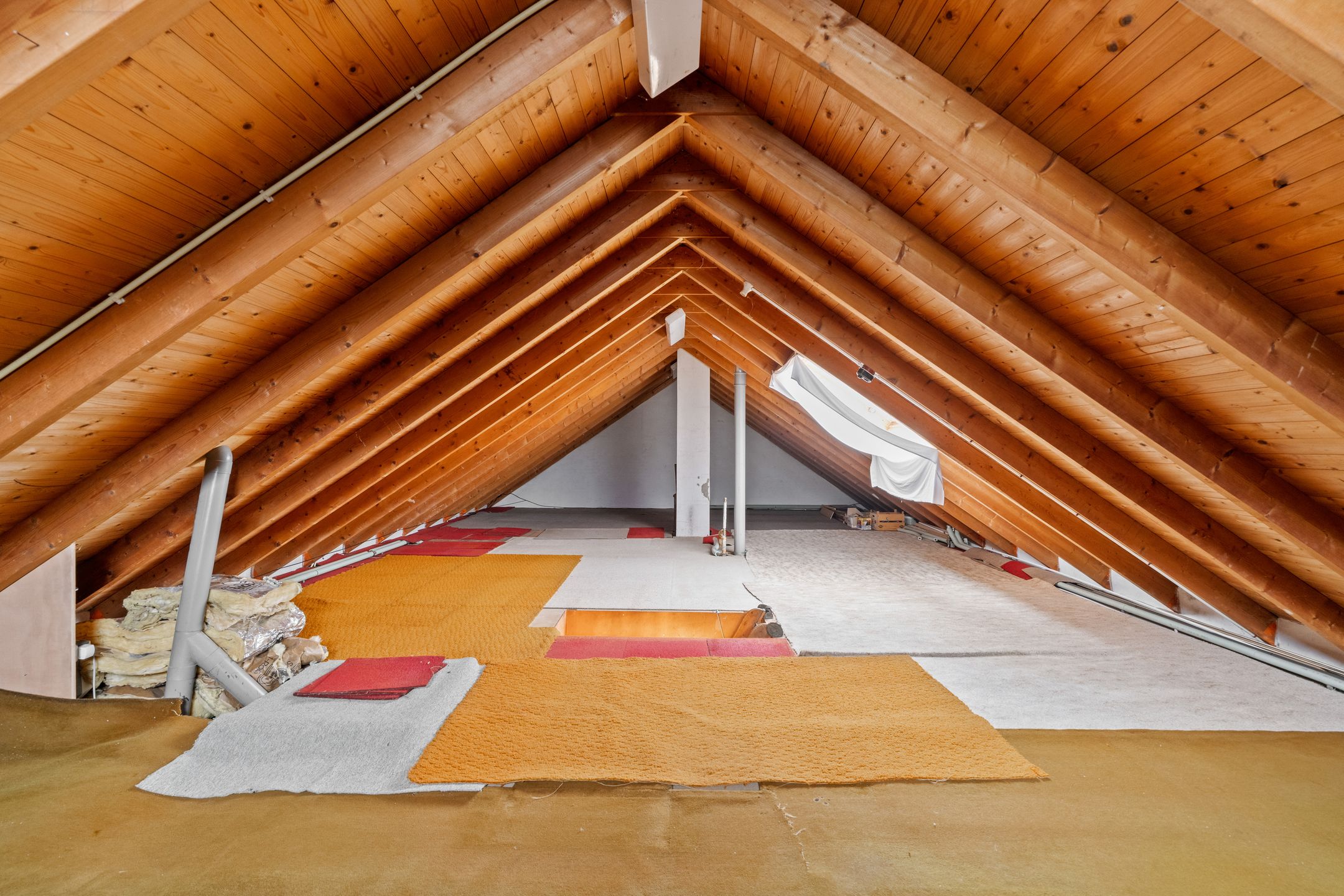 Foto 24 van Achterdoel 4