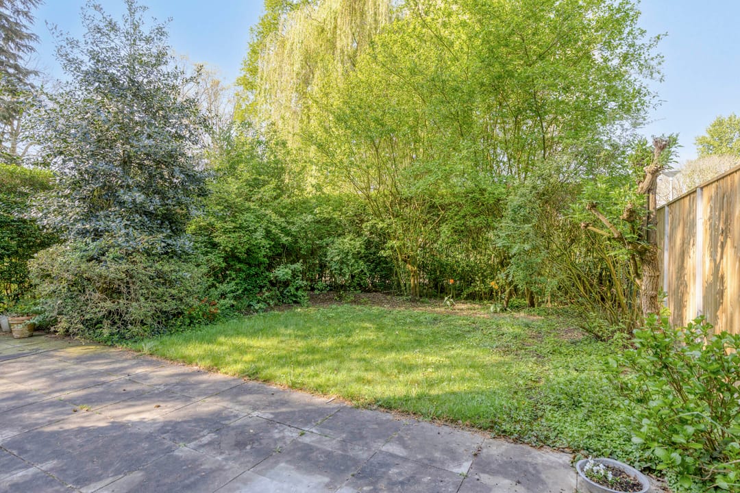 Foto 31 van Meijhorst 6256