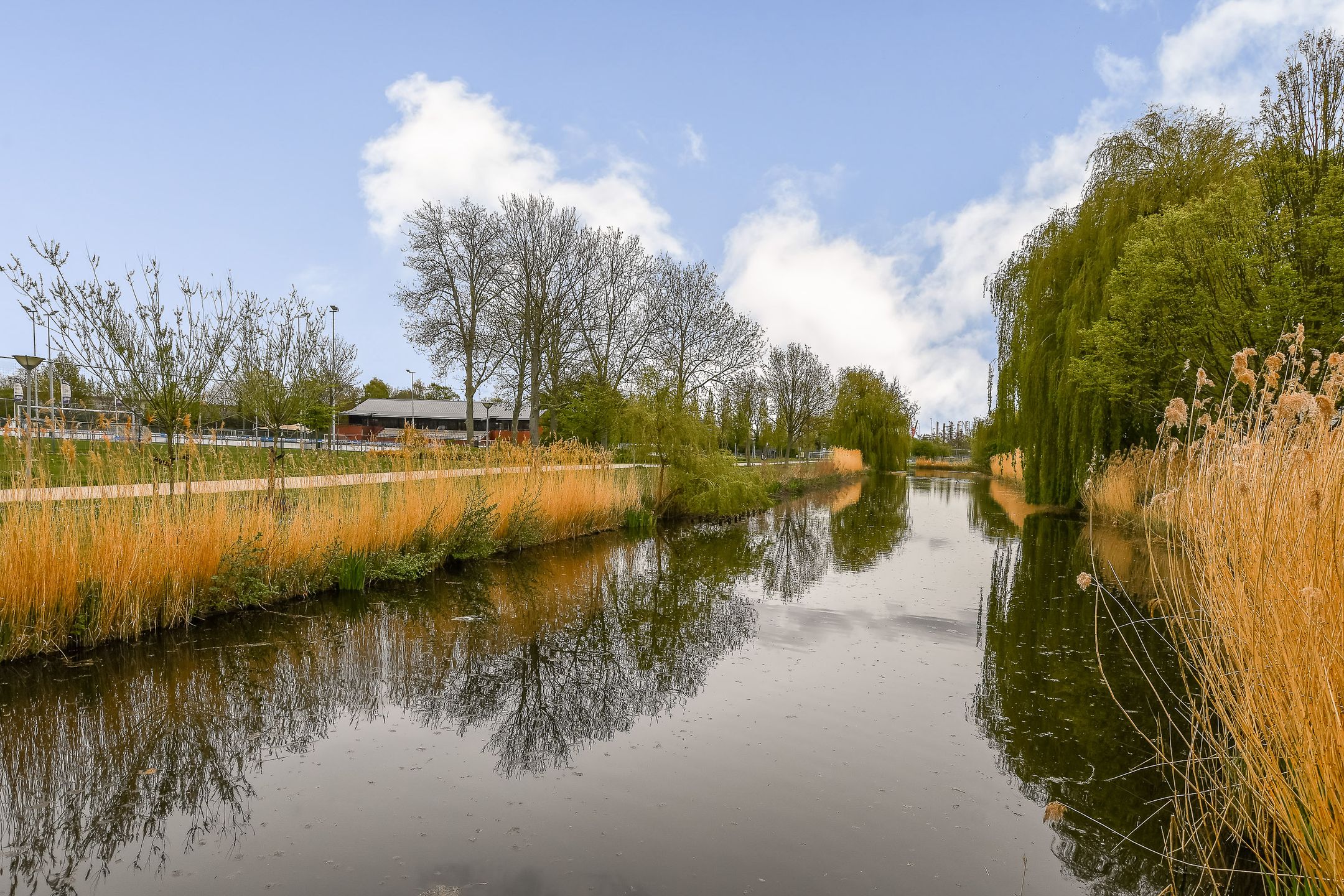 Photo 24 of Burgemeester A. van Walsumlaan 51