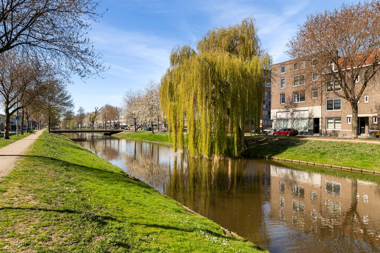 Foto 25 van Zwijndrechtsestraat 12