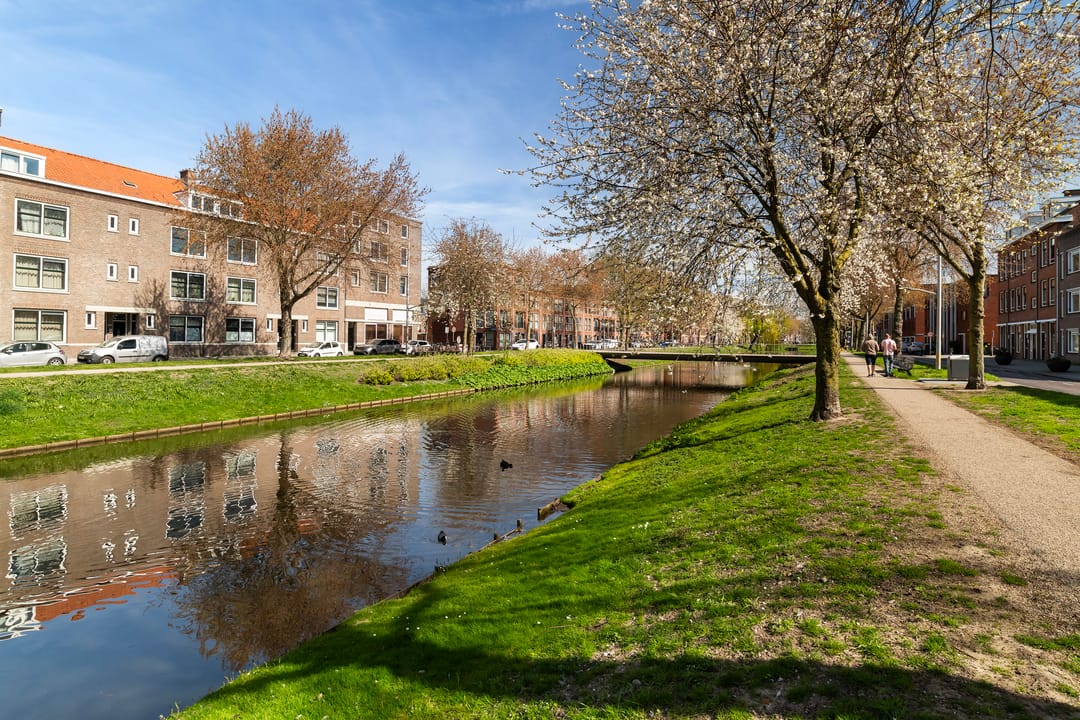 Foto 26 van Zwijndrechtsestraat 12