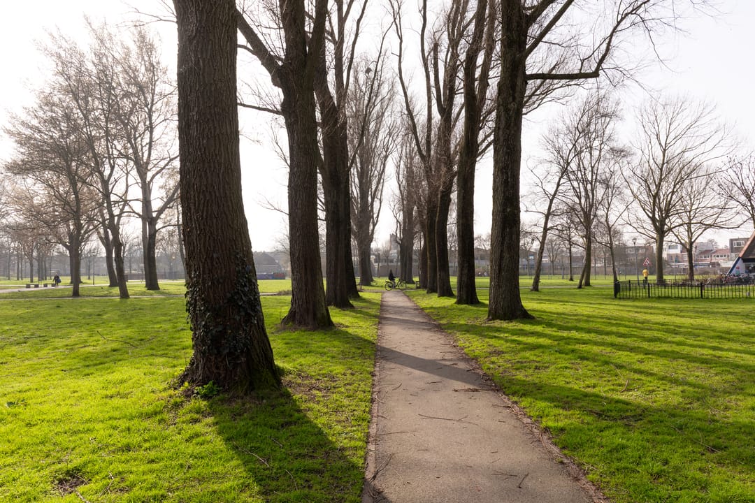 Foto 28 van Generaal Cronjéstraat 3-ARD
