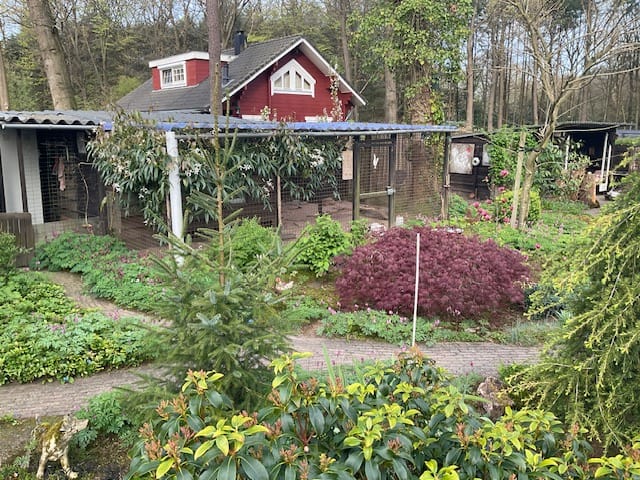Photo 55 of Horalaan 12