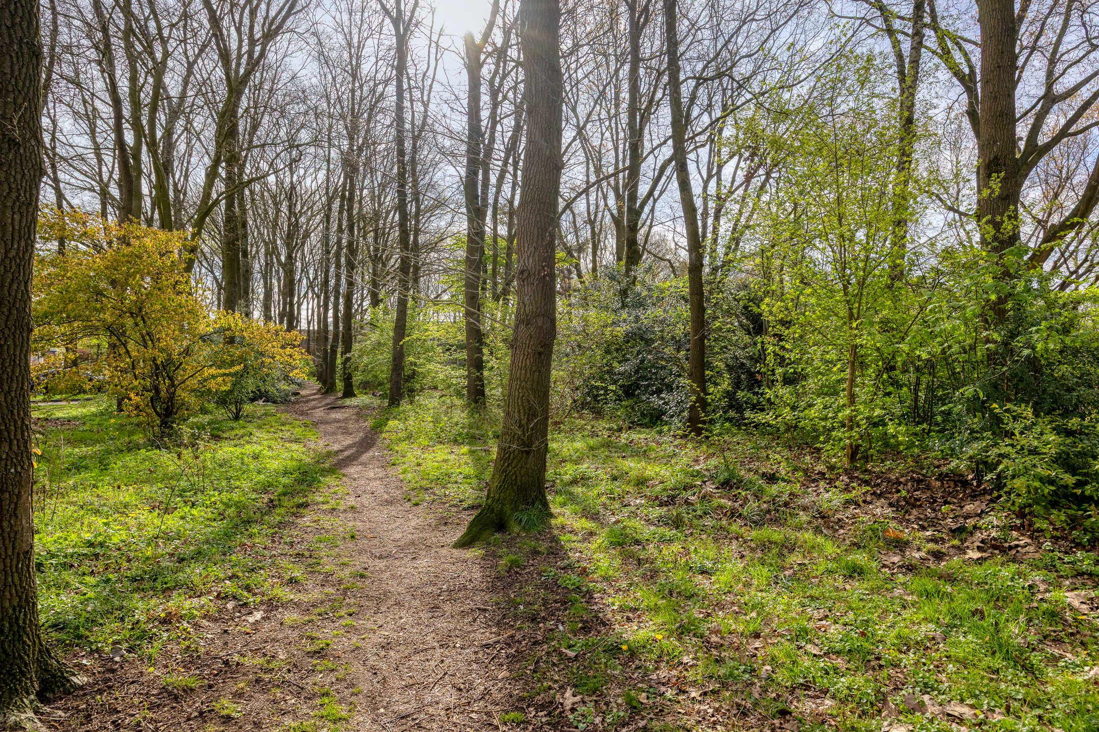 Photo 30 of Woestijnweg 118