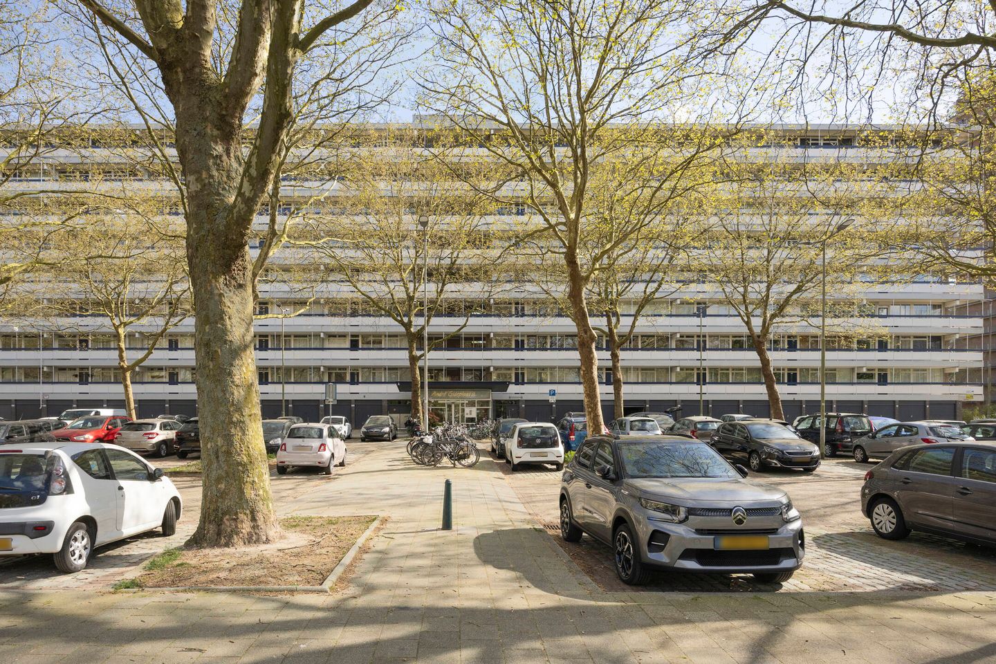 Foto 5 van André Gideplaats 133