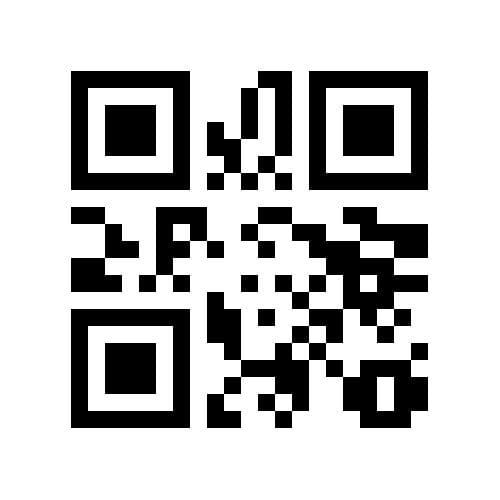 Foto 47 van Ermerzand 55