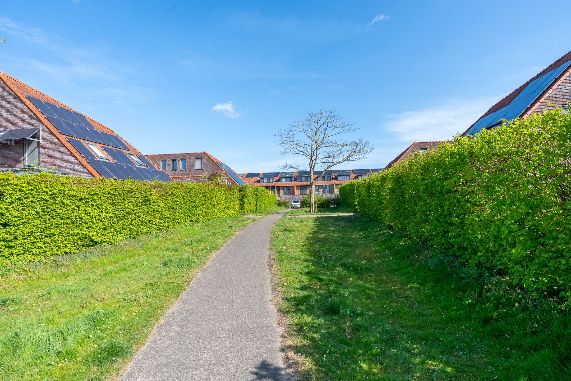 Photo 69 of Monnikeraklaan 34