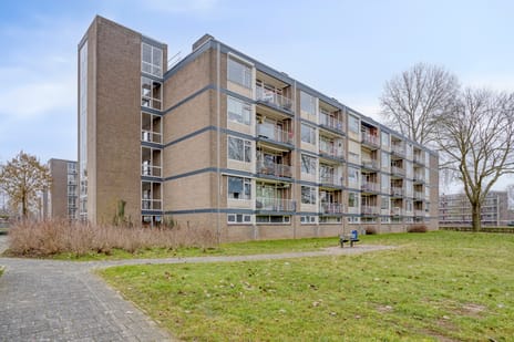 van Beresteynstraat 107 secondary image