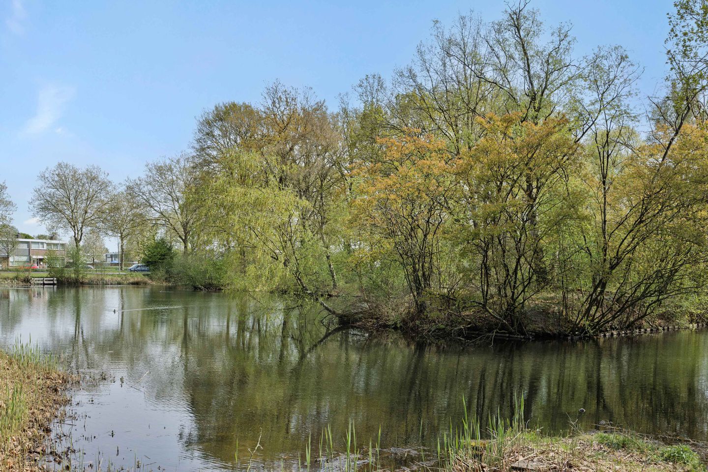 Photo 35 of Gezellehof 50