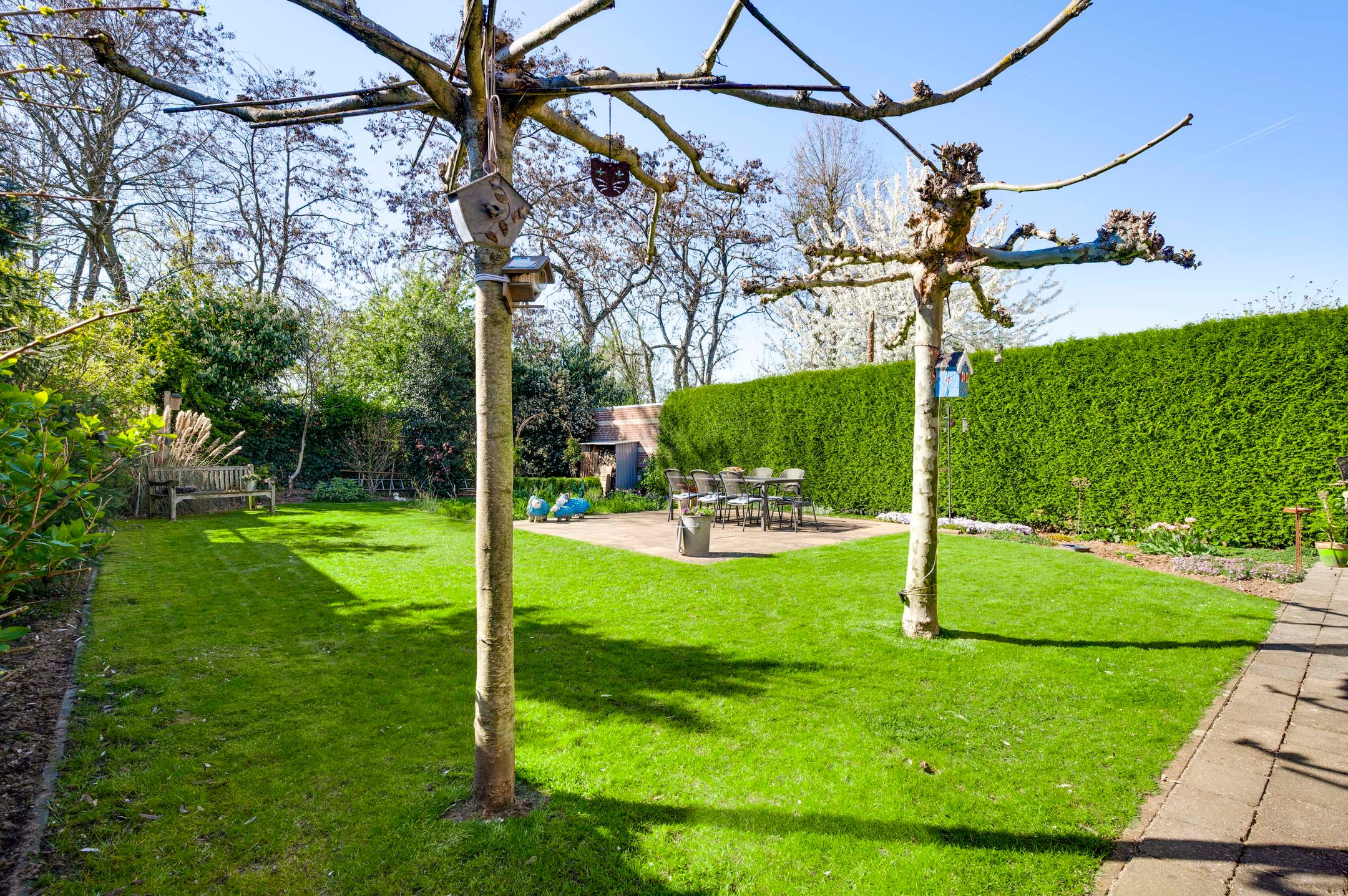 Foto 33 van Javastraat 20-A