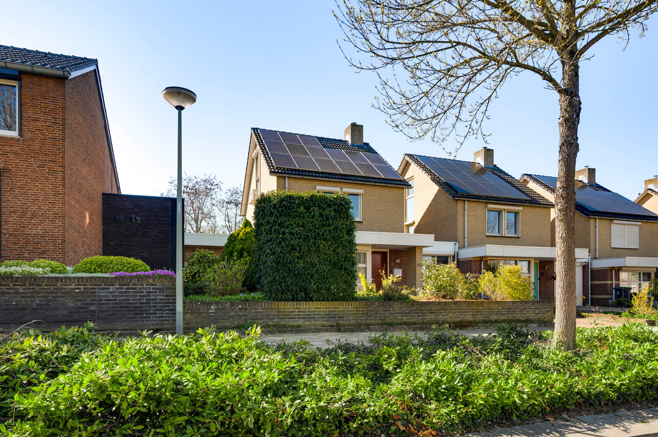 Foto 39 van Javastraat 20-A