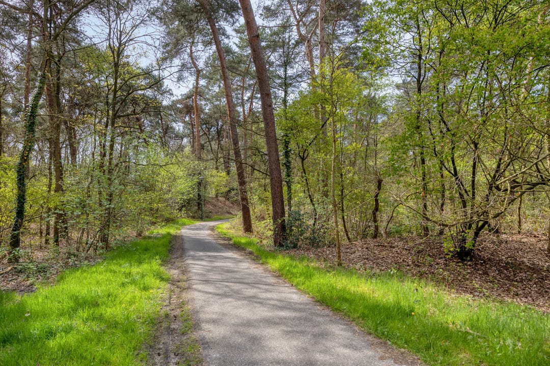 Photo 41 of van Goghstraat 5