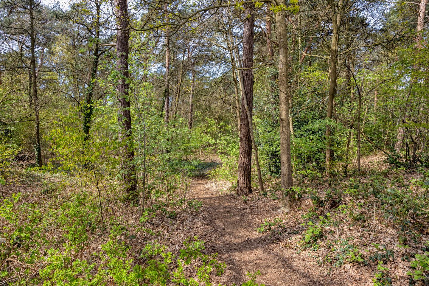 Photo 40 of van Goghstraat 5