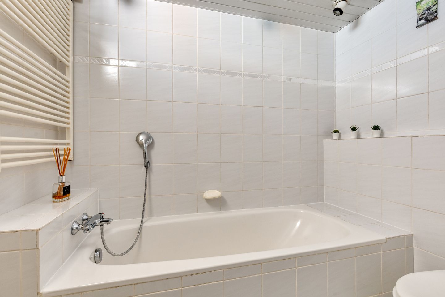 Photo 29 of Bruinvisstraat 10