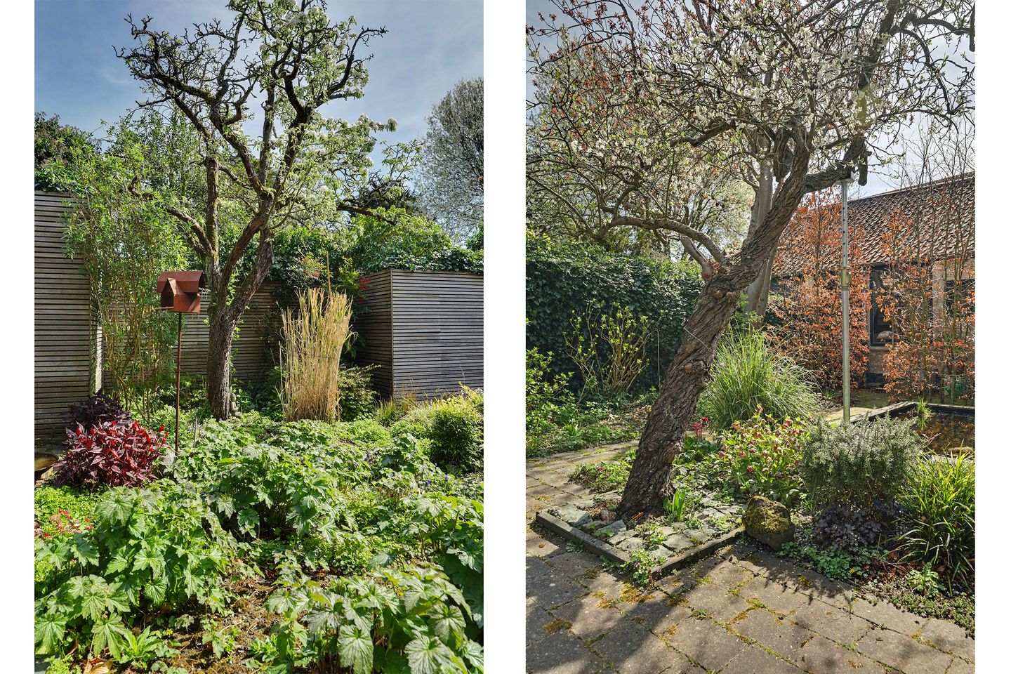 Photo 44 of Oude Haven 18