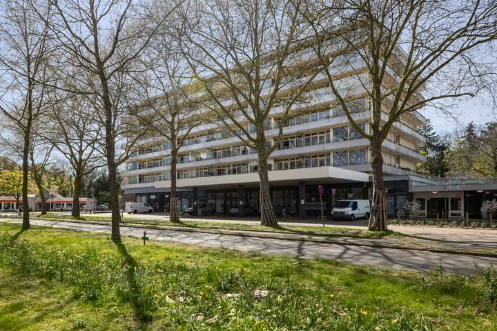 Laan van Vollenhove 950 main image