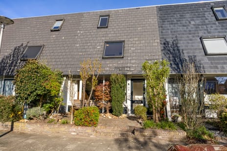 Kameelstraat thumbnail