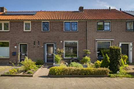 Albert Cuypstraat thumbnail