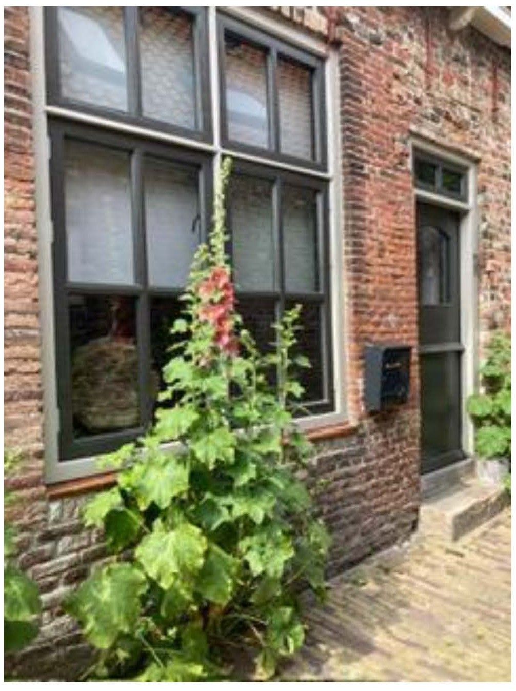 Photo 31 of Bakkersgang 3