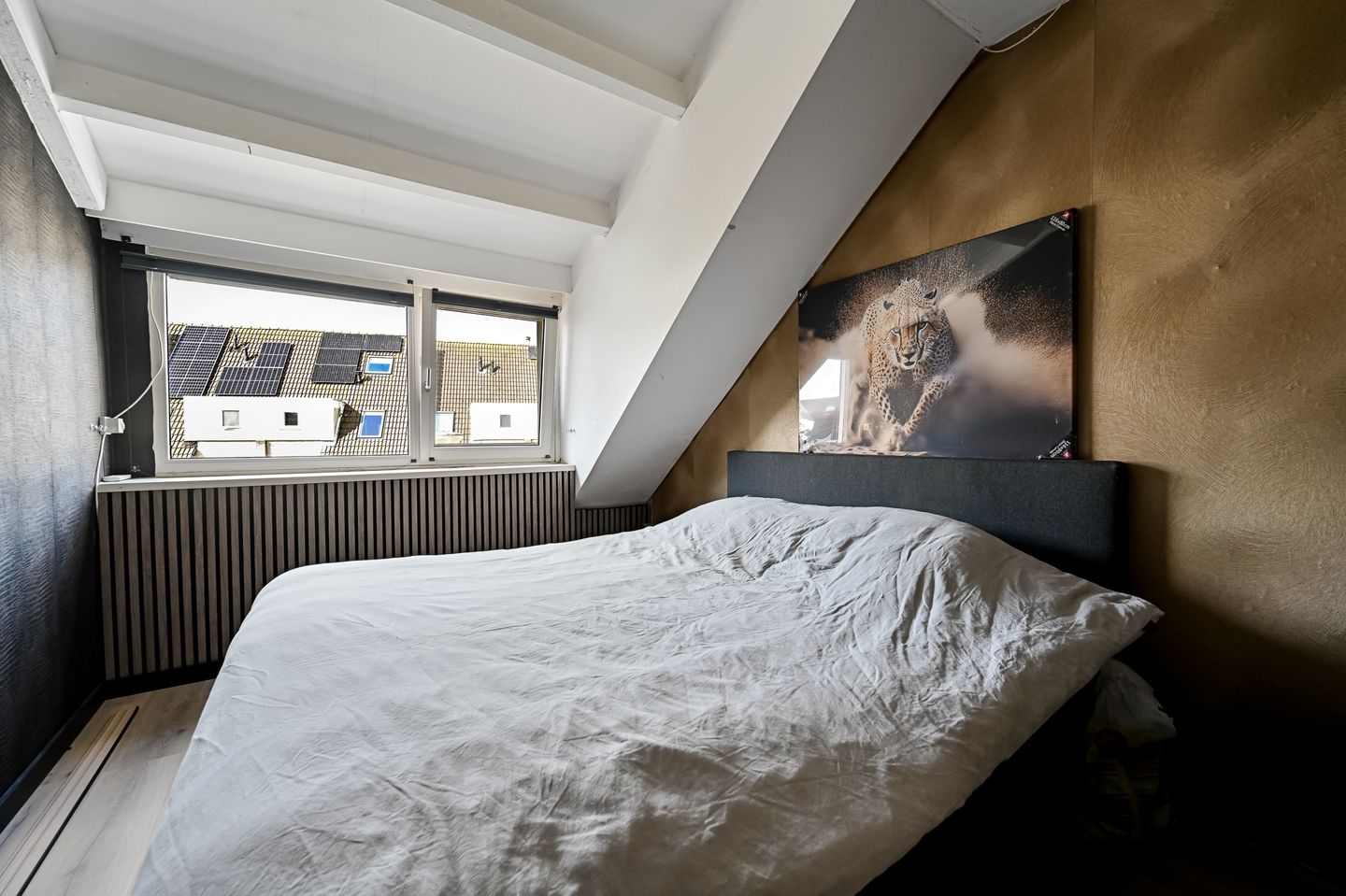 Foto 19 van Tigrisstraat 22