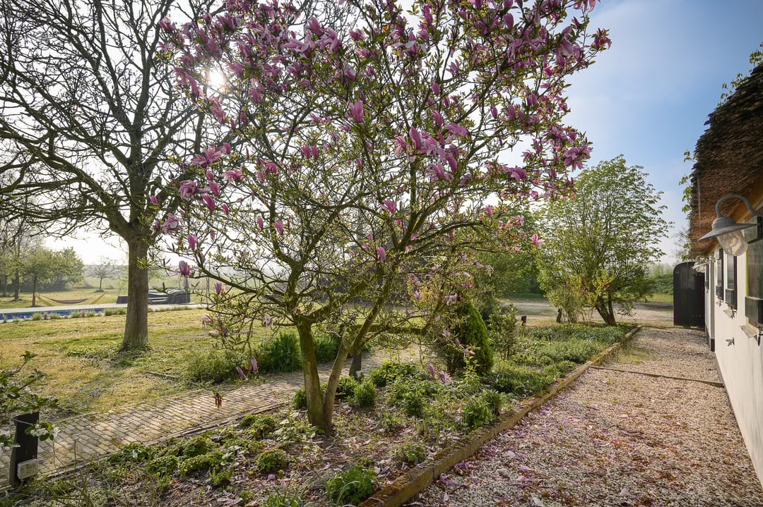 Foto 52 van Diepersestraat 1