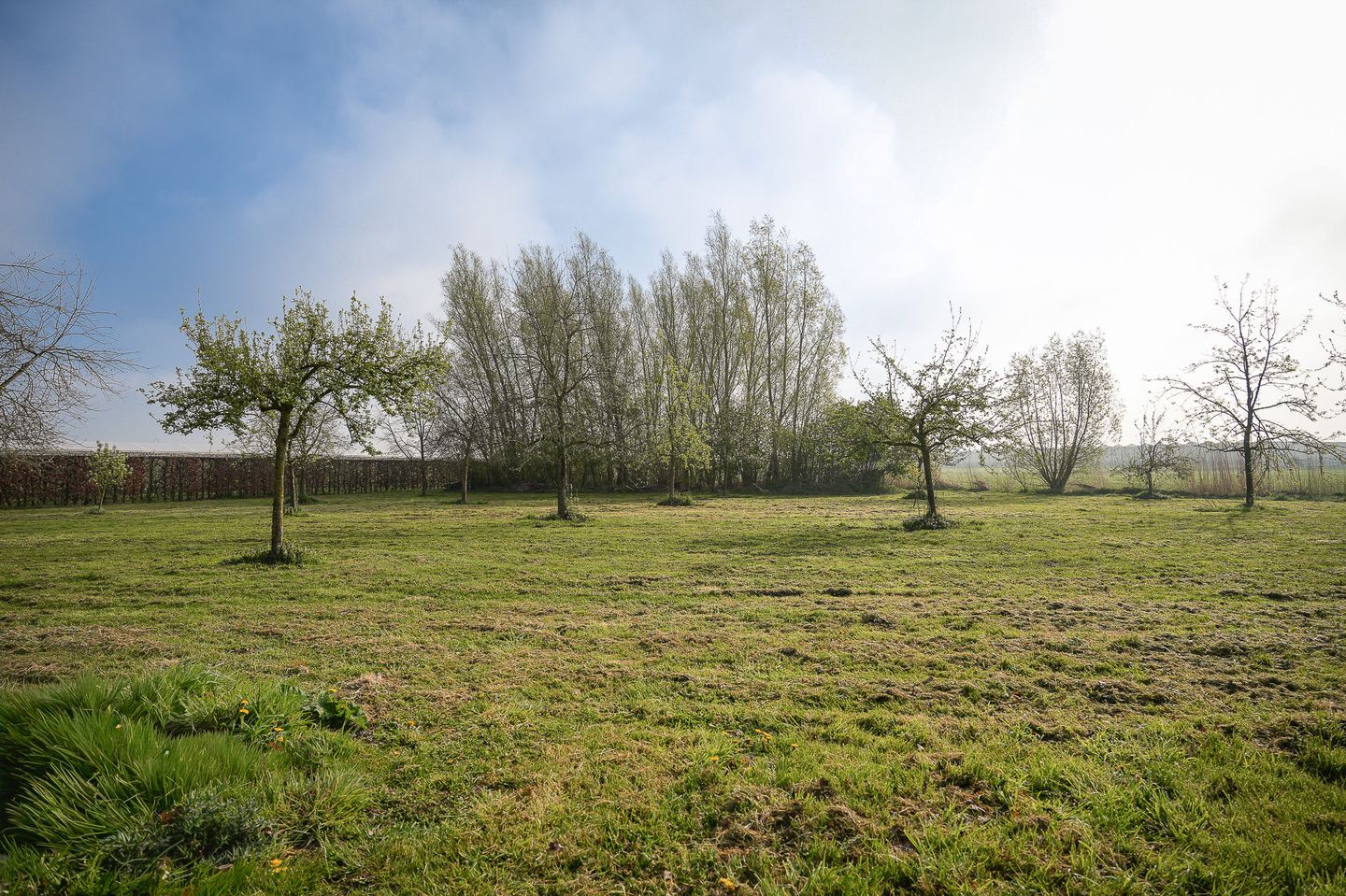 Foto 59 van Diepersestraat 1